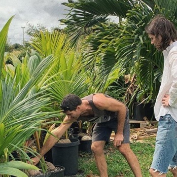 Two men at an organic coconut farm talking about organic agriculture